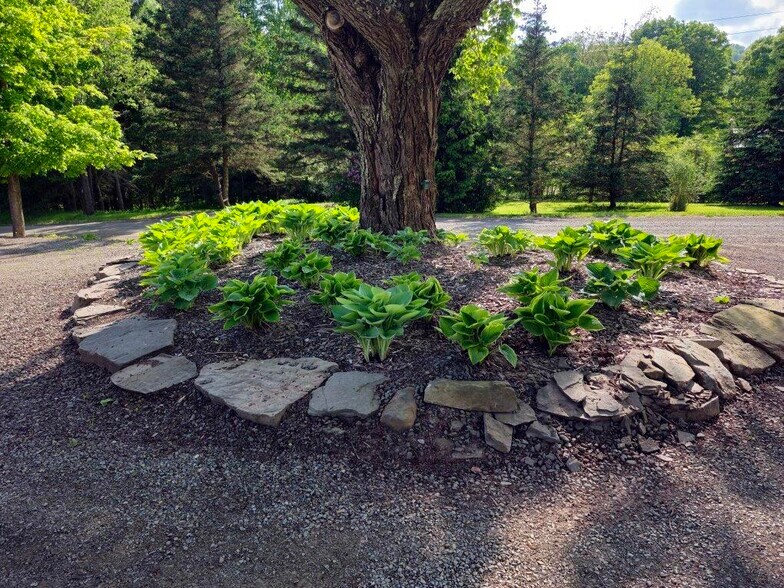 More Photos Of 304 Sutherland Rd, East Meredith Specialty For Sale