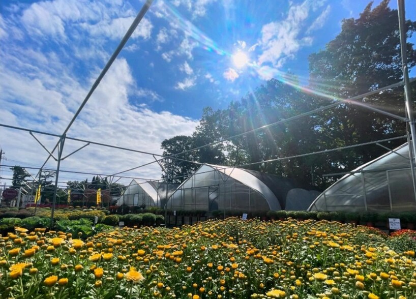 More Photos Of 886 Rt-25a & Radio Ave, Miller Place Land For Sale