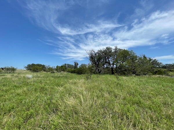 More Photos Of 221 W Rolling Oaks Dr, Goldthwaite Land For Sale