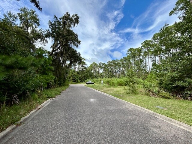 More Photos Of 97124 Elk Creek ct, Fernandina Beach Land For Sale