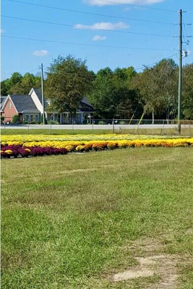 More Photos Of 32544 SC-9, Pageland Land For Sale