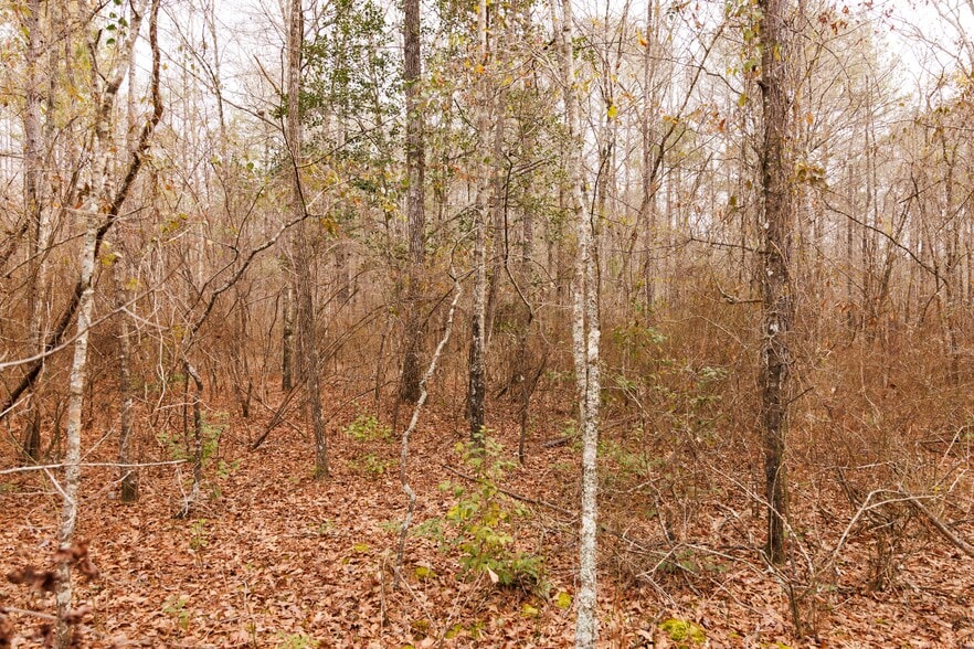 More Photos Of Jug Factory Road, Wetumpka Land For Sale