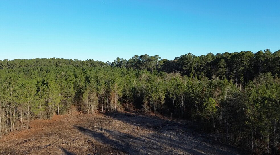 More Photos Of 319 - 547 Sisters Ferry Road, Ridgeland Land For Sale