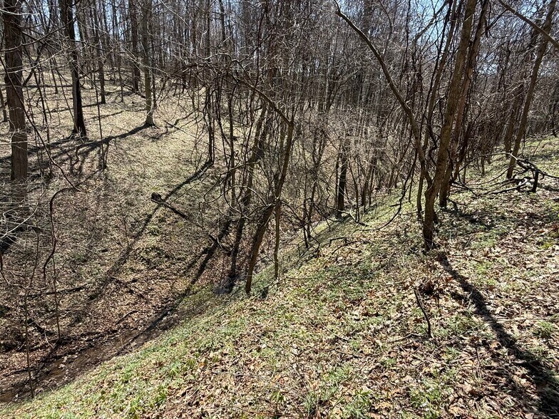 More Photos Of 0 Kragel Rd, Wintersville Land For Sale