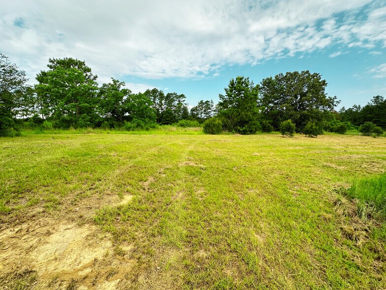 More Photos Of 391 Dumas Bailey Rd, Picayune Flex For Sale