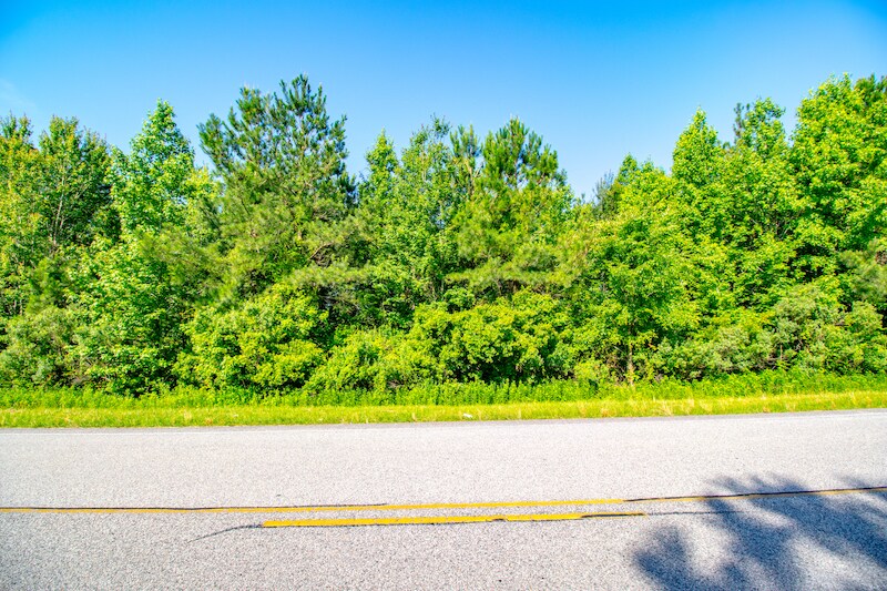 More Photos Of NC Hwy 94, Creswell Land For Sale