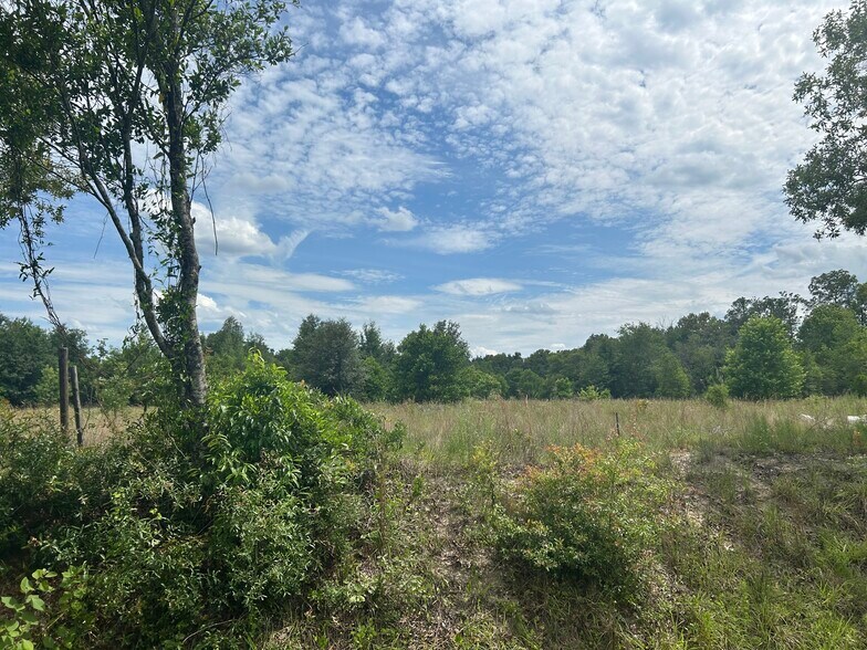 More Photos Of 5078 Discovery Dr, Middleburg Land For Sale