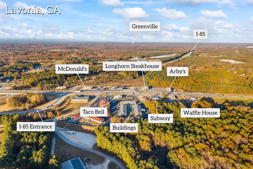 More Photos Of 13705 Highway 17, Lavonia Land For Sale