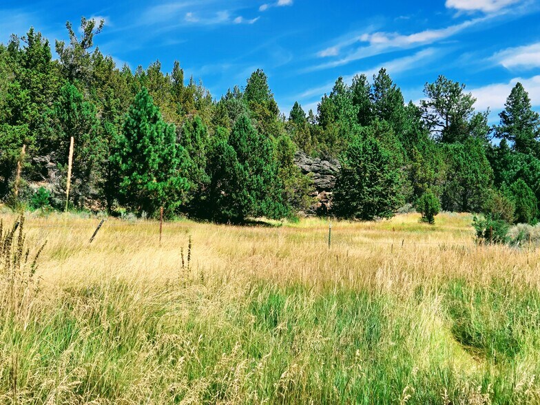 More Photos Of 32611 Tackman Rd, Prineville Land For Sale