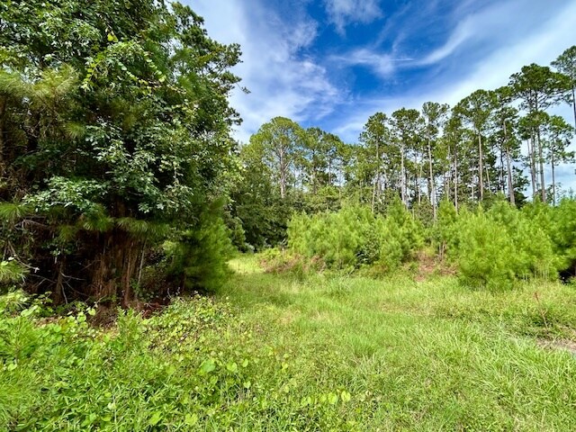 More Photos Of 97124 Elk Creek ct, Fernandina Beach Land For Sale