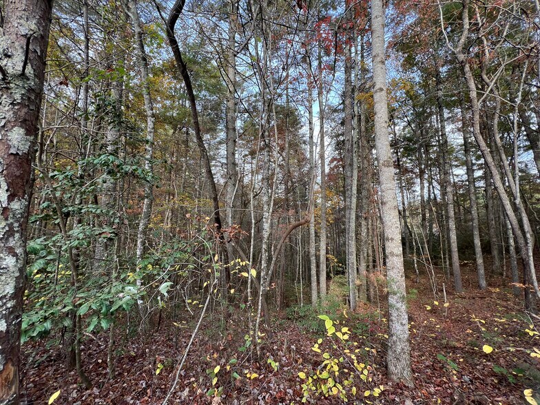 More Photos Of Whitecliff Drive, Ellijay Land For Sale