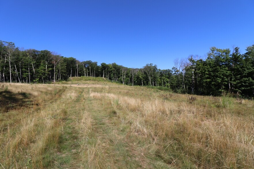 More Photos Of 35480 Whitetail Ave, Bayfield Land For Sale