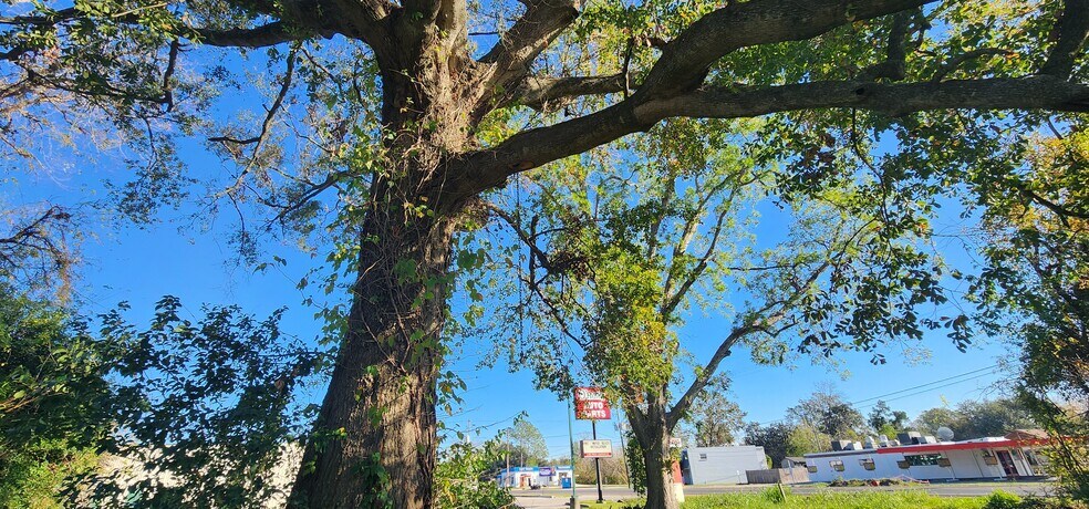 More Photos Of 106 Rondinaud Rd, Donaldsonville Land For Sale