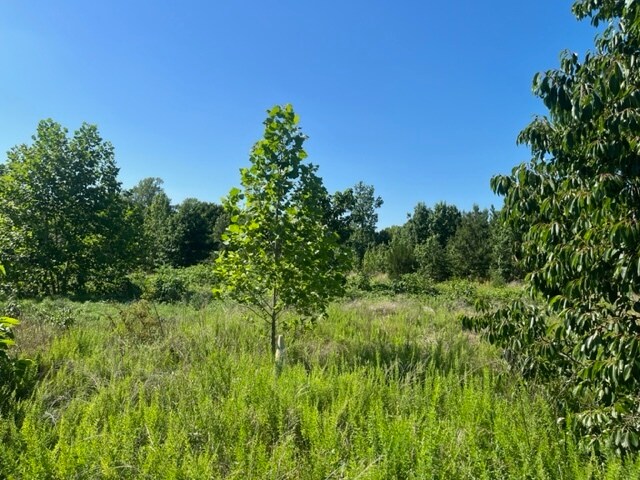 More Photos Of 11050 Demarr Homestead Dr, White Plains Land For Sale
