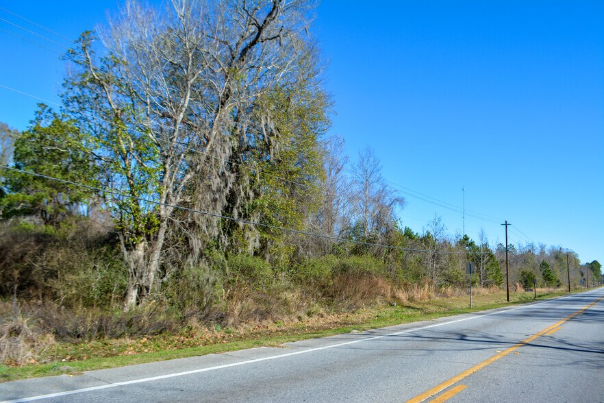 More Photos Of Hwy 280 @ Interstate Dr, Pembroke Land For Sale