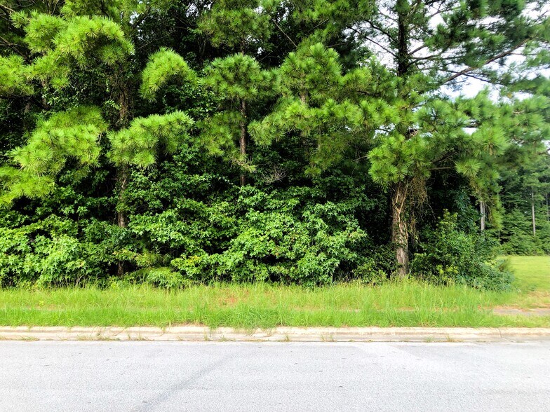 More Photos Of 134 Williamsburg Pky, Jacksonville Land For Sale