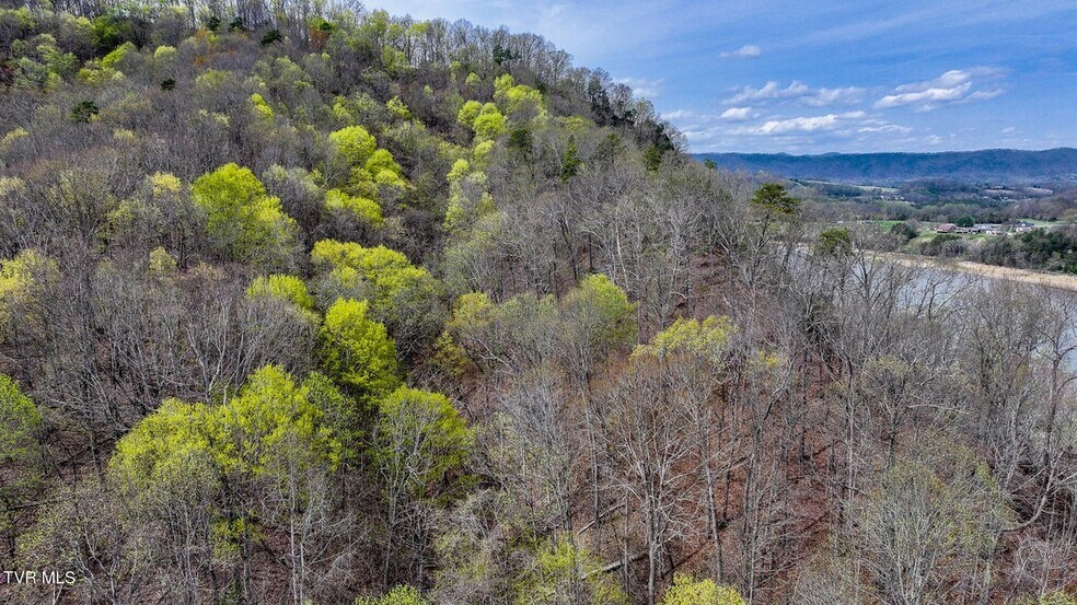 More Photos Of 340 Melinda Ferry rd, Rogersville Land For Sale