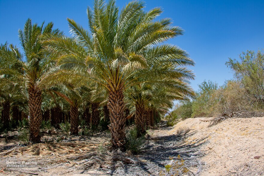 More Photos Of 1095 Midland Rd rd, Blythe Land For Sale