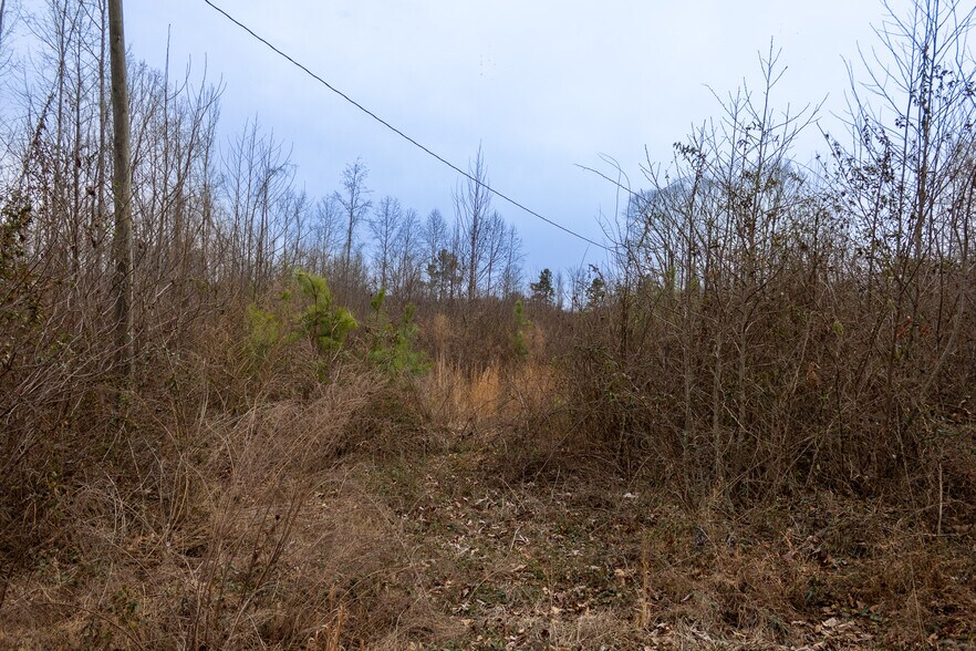 More Photos Of 0 Bill Medlin Rd, Lexington Land For Sale