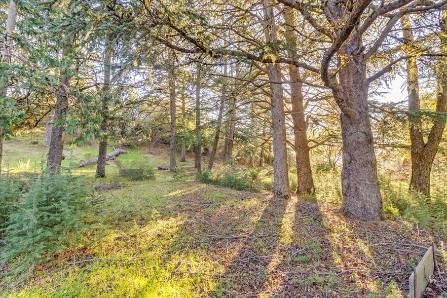 More Photos Of 15880 Soda Springs Rd, Los Gatos Land For Sale