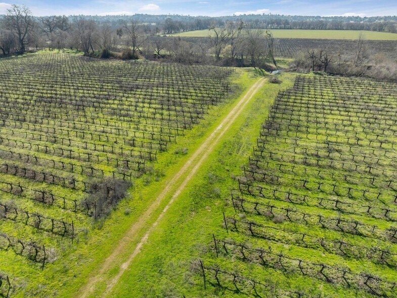 More Photos Of 3900 Jackson Valley Rd, Ione Land For Sale