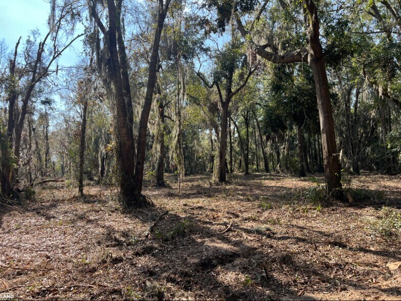 More Photos Of 3855 Darien Hwy, Brunswick Land For Sale