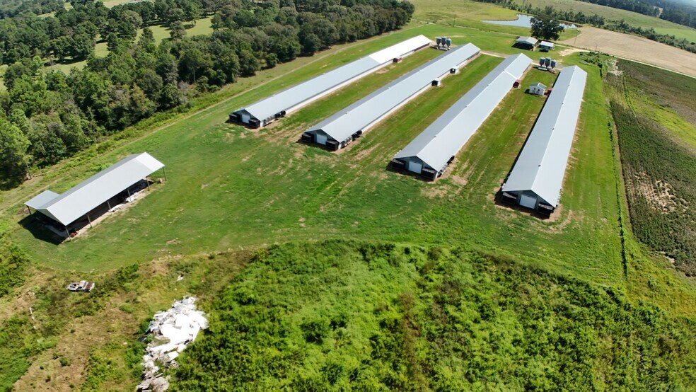 More Photos Of 594 Daffodil Ln, Pitts Land For Sale