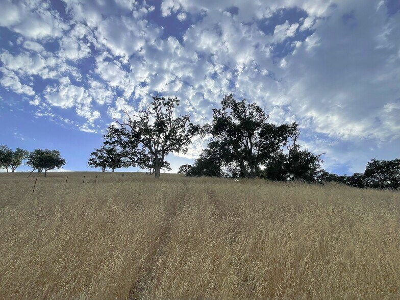 More Photos Of 0 E. 41 Hwy, Templeton Land For Sale