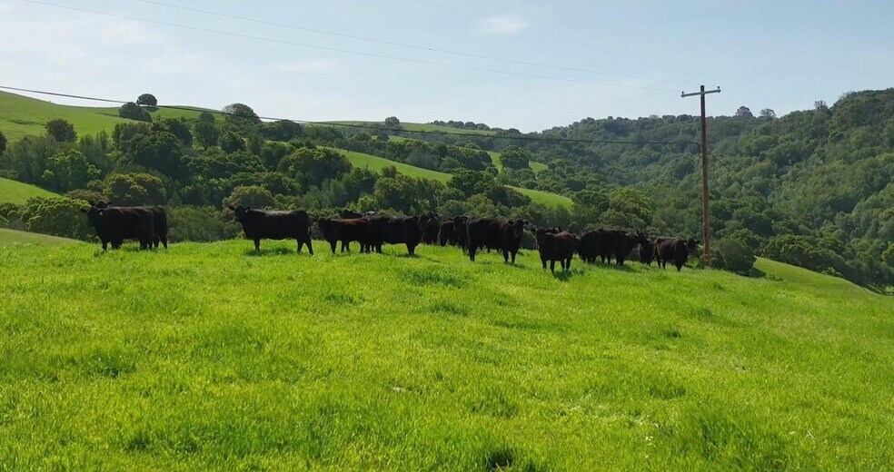 More Photos Of 1230 Christie Rd, Martinez Land For Sale