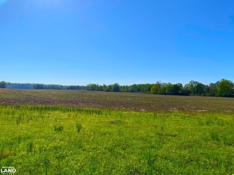 More Photos Of 3098 N HWY 171, Fayette Land For Sale