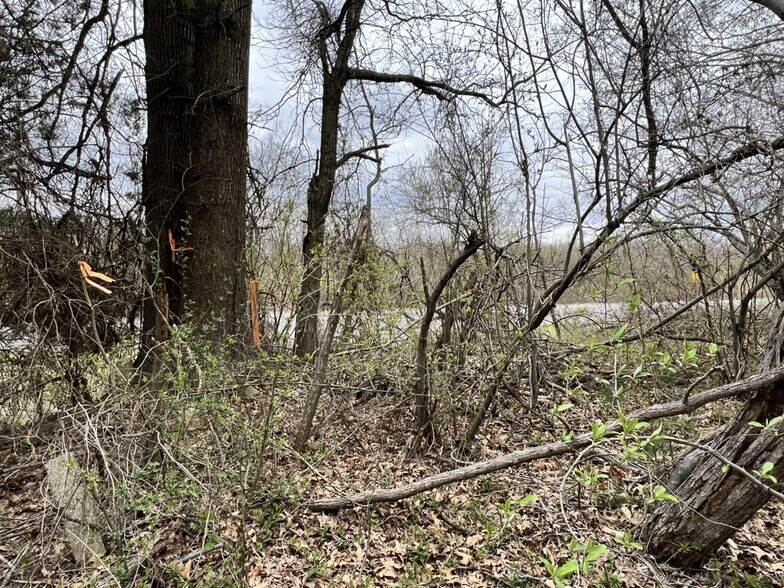 More Photos Of 00 US Highway 51, De Soto Land For Sale