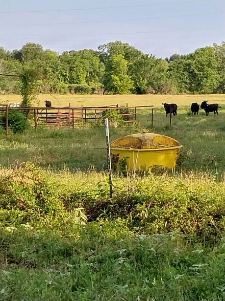 More Photos Of TBD FM 857 Rd, Grand Saline Land For Sale