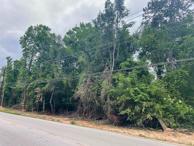 More Photos Of Sleepy Hollow Road, Conroe Land For Sale