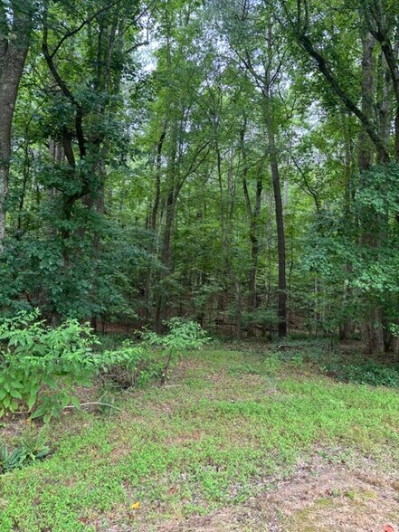 More Photos Of 2723 Mays Crossroad Crossroads, Youngsville Land For Sale