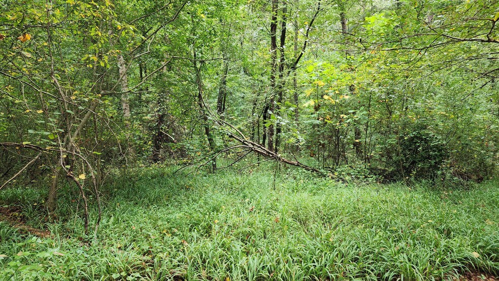 More Photos Of 1661 Friendship Rd, Hoschton Land For Sale