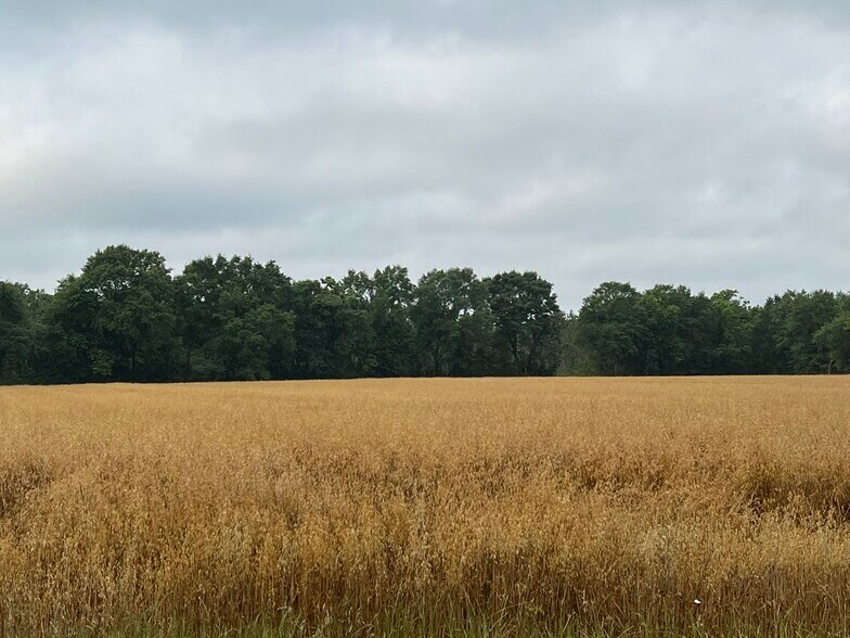 More Photos Of 2833 Omussee Rd, Dothan Land For Sale