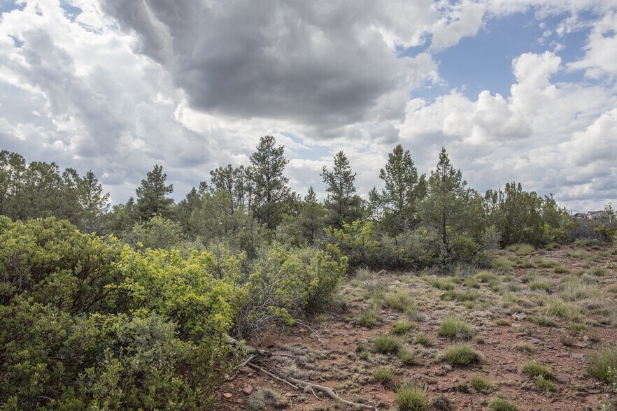 More Photos Of 1200 Airport, Payson Land For Sale