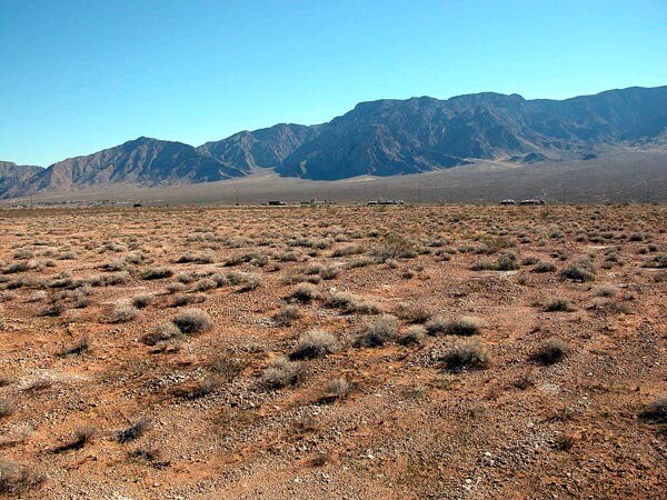 More Photos Of 590 N Virgin Acres Blvd, Littlefield Land For Sale