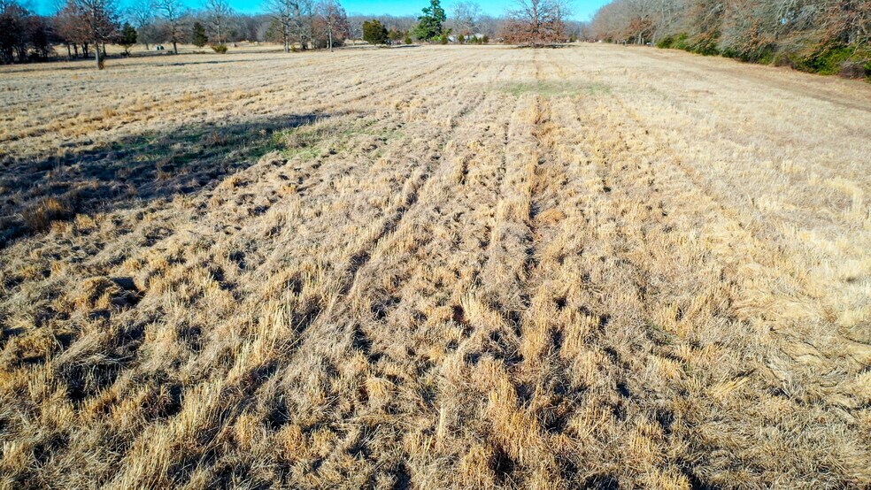 More Photos Of 1200 County 1255 rd, Detroit Land For Sale
