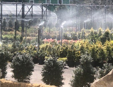 More Photos Of 185 N Country Rd, Mount Sinai Garden Center For Sale