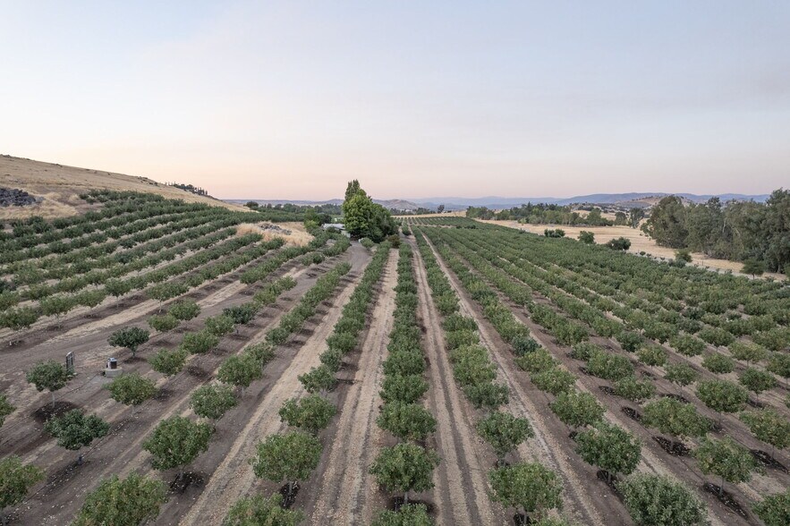 More Photos Of 13638 E Shepherd Ave, Clovis Land For Sale