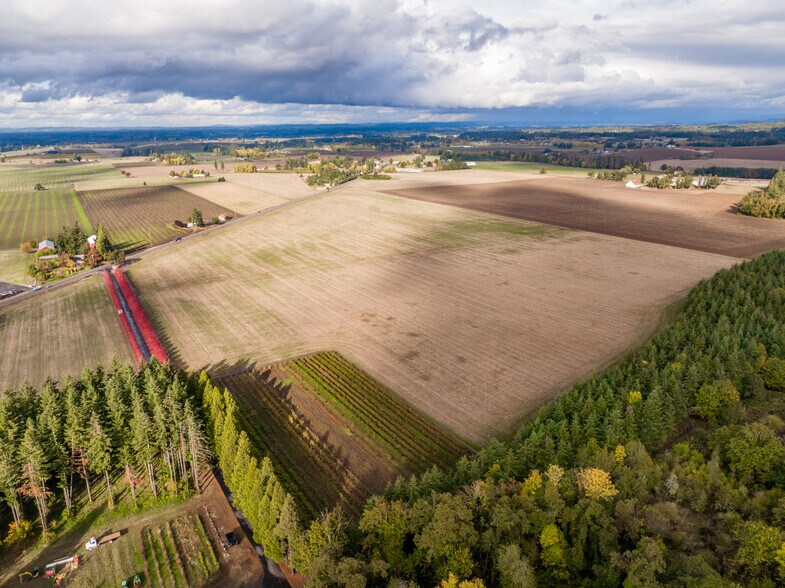 More Photos Of 37486 S Highway 213, Mount Angel Land For Sale