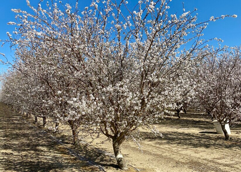 More Photos Of Oakland @ Lassen Avenue, Five Points Land For Sale