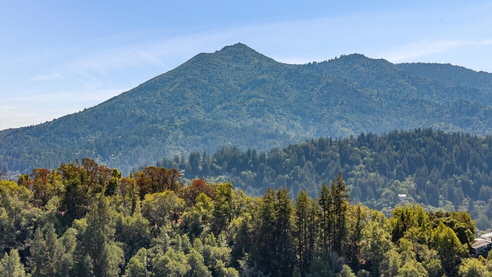 More Photos Of 135 Spring Grove Ave, San Rafael Multifamily For Sale