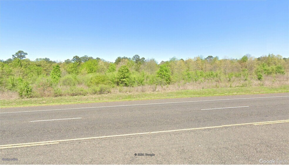 More Photos Of 20768 State Highway 155, Flint Land For Sale