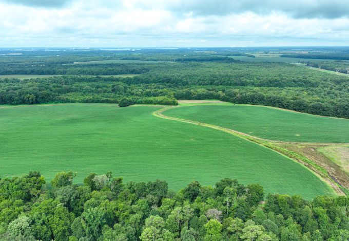 More Photos Of Fennell Ln, Tanner Land For Sale