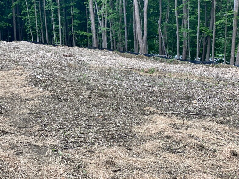 More Photos Of 3995 Danbury Rd, Brewster Village Land For Sale