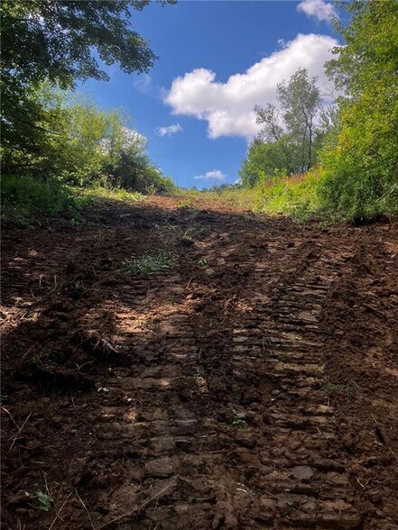 More Photos Of N3953 Bear Pen Rd, Arkansaw Land For Sale