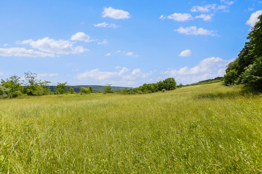 More Photos Of 3648 Dominion Rd, Gerrardstown Land For Sale