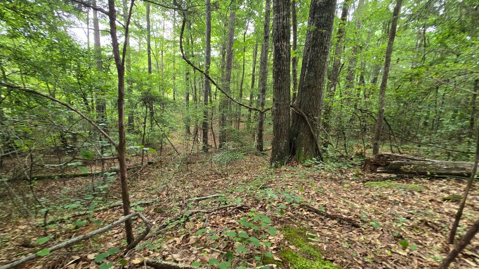 More Photos Of 5171 Ga Highway 138, Loganville Land For Sale